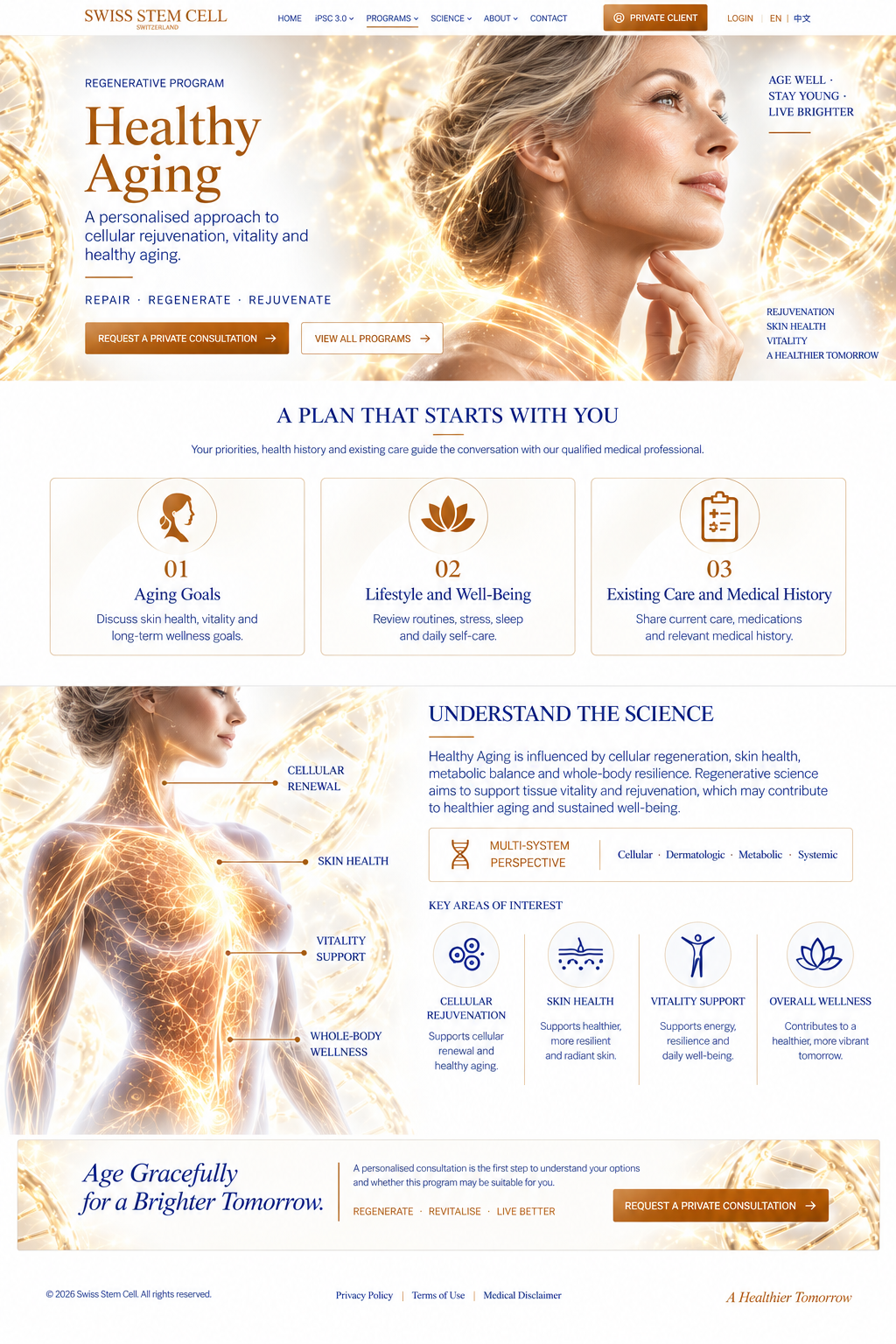 Female anatomical illustration with illuminated cellular pathways