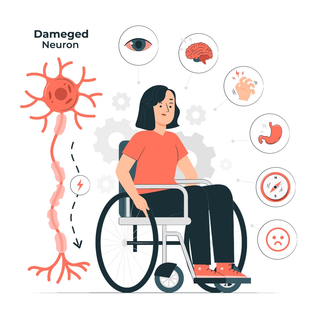 Damaged Neuron https://www.freepik.com/free-vector/multiple-sclerosis-concept-illustration_22635791.htm#query=damaged%20neuron%20wheelchair&position=0&from_view=search&track=ais